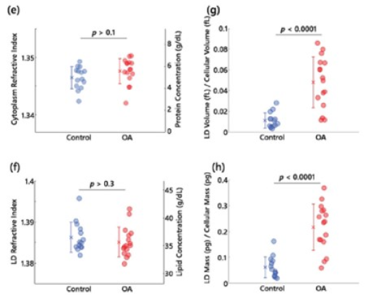 lipid_quantification_03