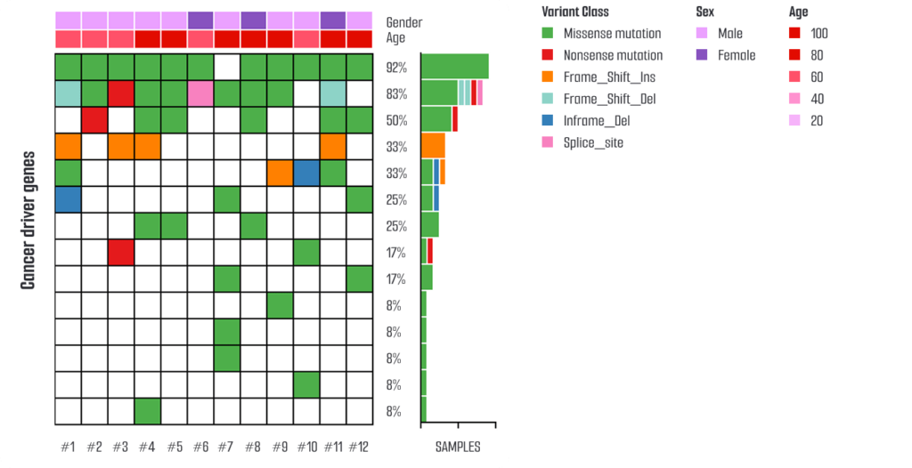 Pancreatic-Cancer-Organoid-02 - Lambda Biologics