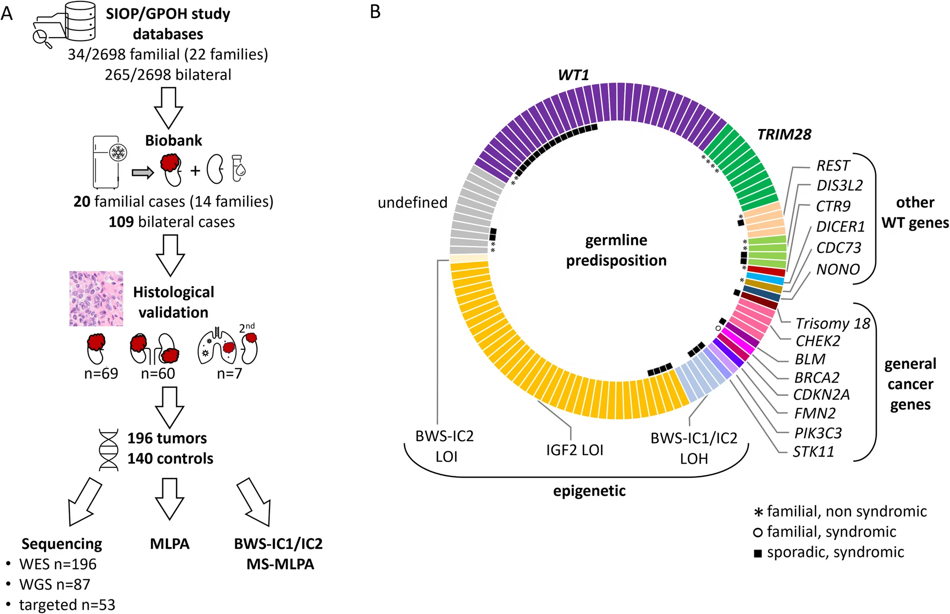 Genetic Detectives: Mapping Childhood Cancer’s Hidden Patterns