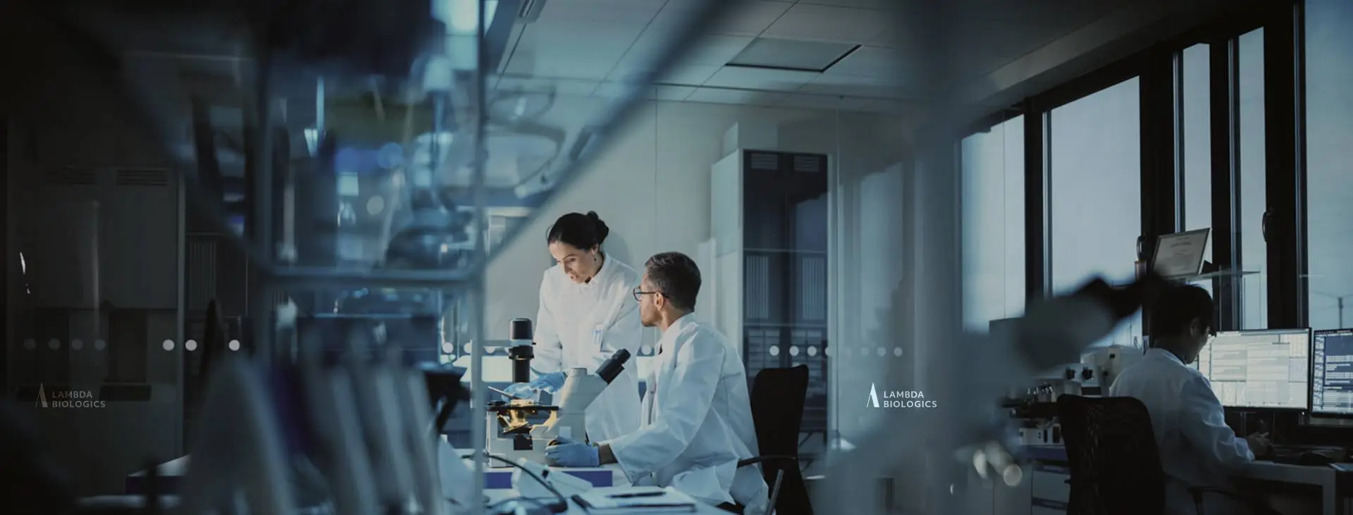 Unlocking Human Insight with Organoid Models