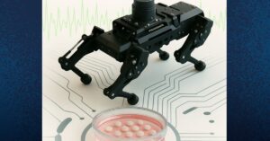 Graphene-Based Optical Stimulation Advances Brain Organoid Development