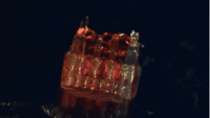 3D-Printed Organoid Scaffold Restores Walking in Paralyzed Rats
