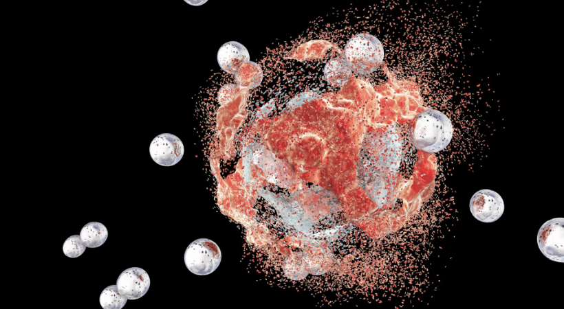 Microbes Within: How Hidden Bacteria Inside Tumors Could Help Defeat Cancer - Lambda Biologics Microbes Within: How Hidden Bacteria Inside Tumors Could Help Defeat Cancer