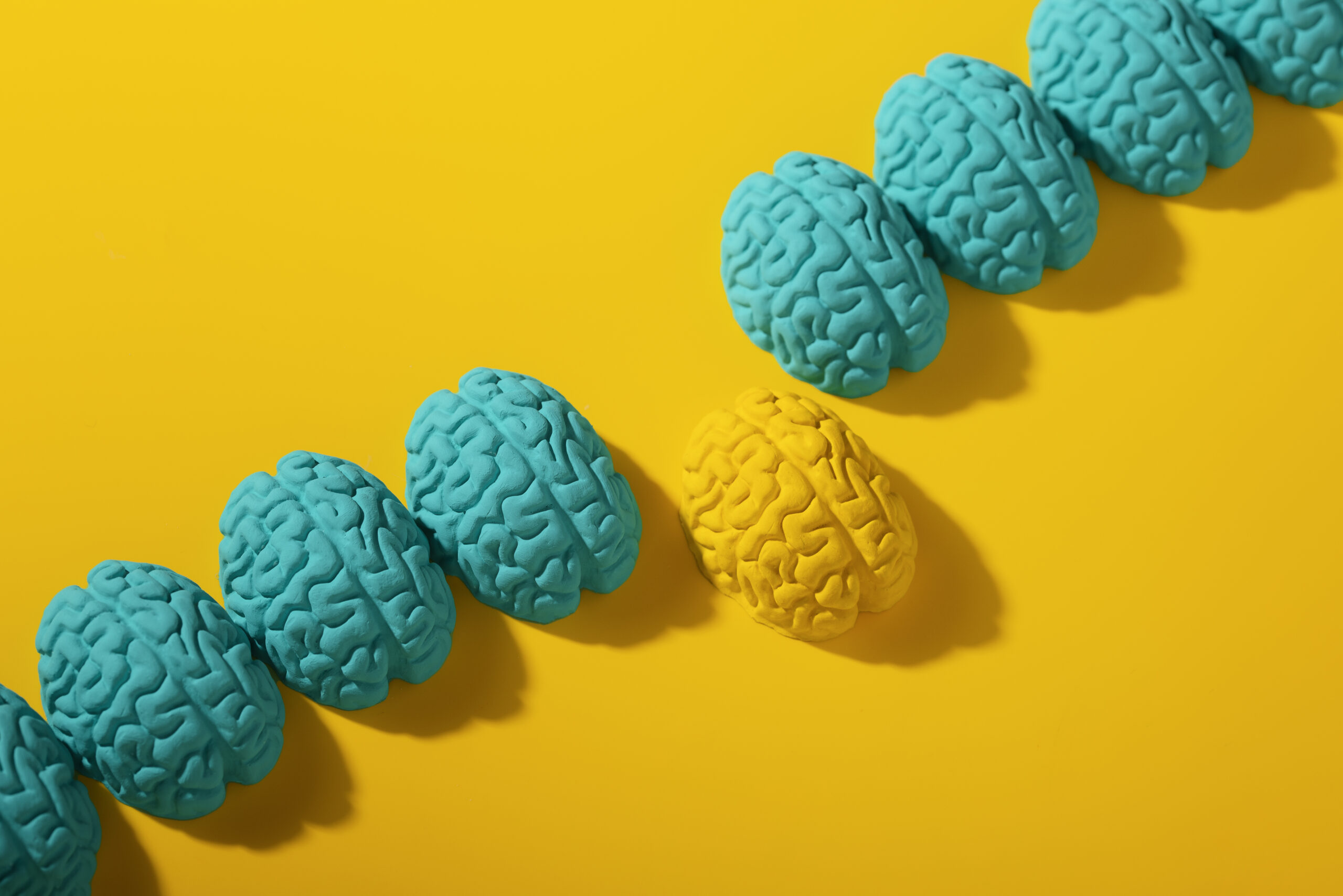 Deciphering Brain Organoid Heterogeneity: Finding the Key to Quality