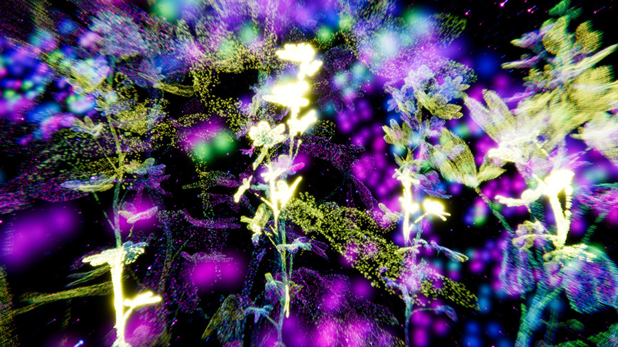 Flowers – Inventors of Their Own Existence