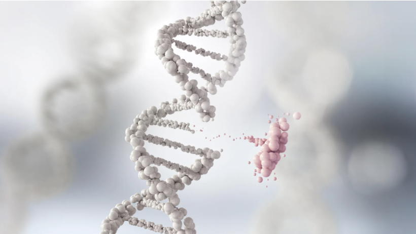 CRISPR Restores Chemotherapy Sensitivity in Resistant Lung Cancer - Lambda Biologics CRISPR Restores Chemotherapy Sensitivity in Resistant Lung Cancer