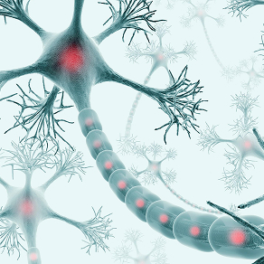 disease-model-02 - Lambda Biologics
