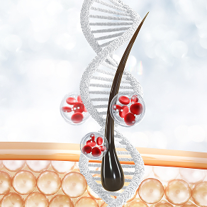 disease-model-05 - Lambda Biologics