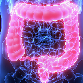 disease-model-06 - Lambda Biologics