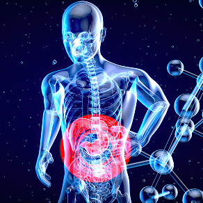 disease-model-08 - Lambda Biologics