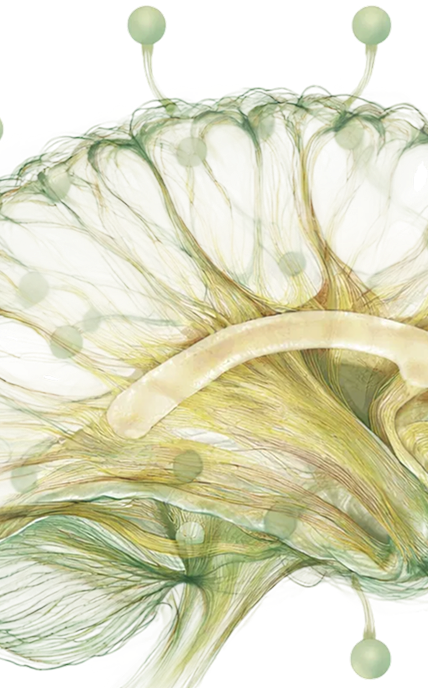 parkingson-bg2-mb - Lambda Biologics