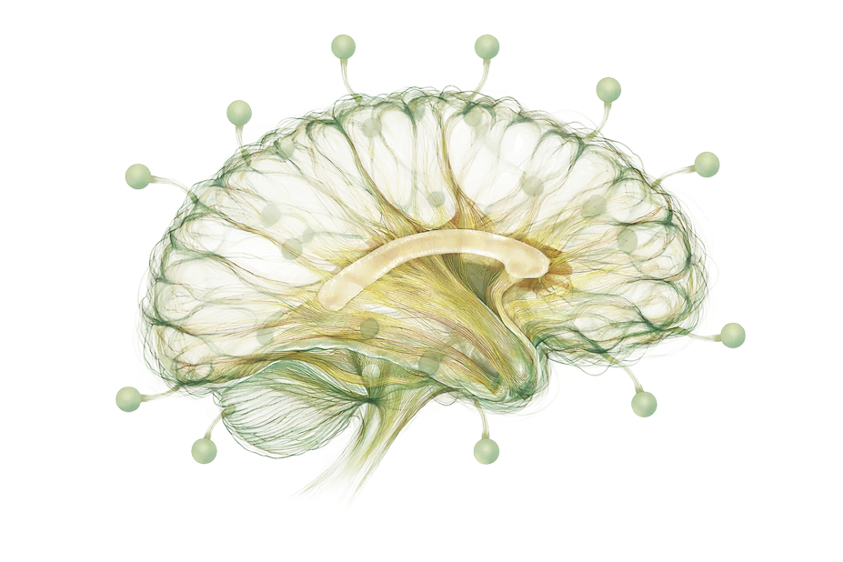 parkingson-bg3 - Lambda Biologics
