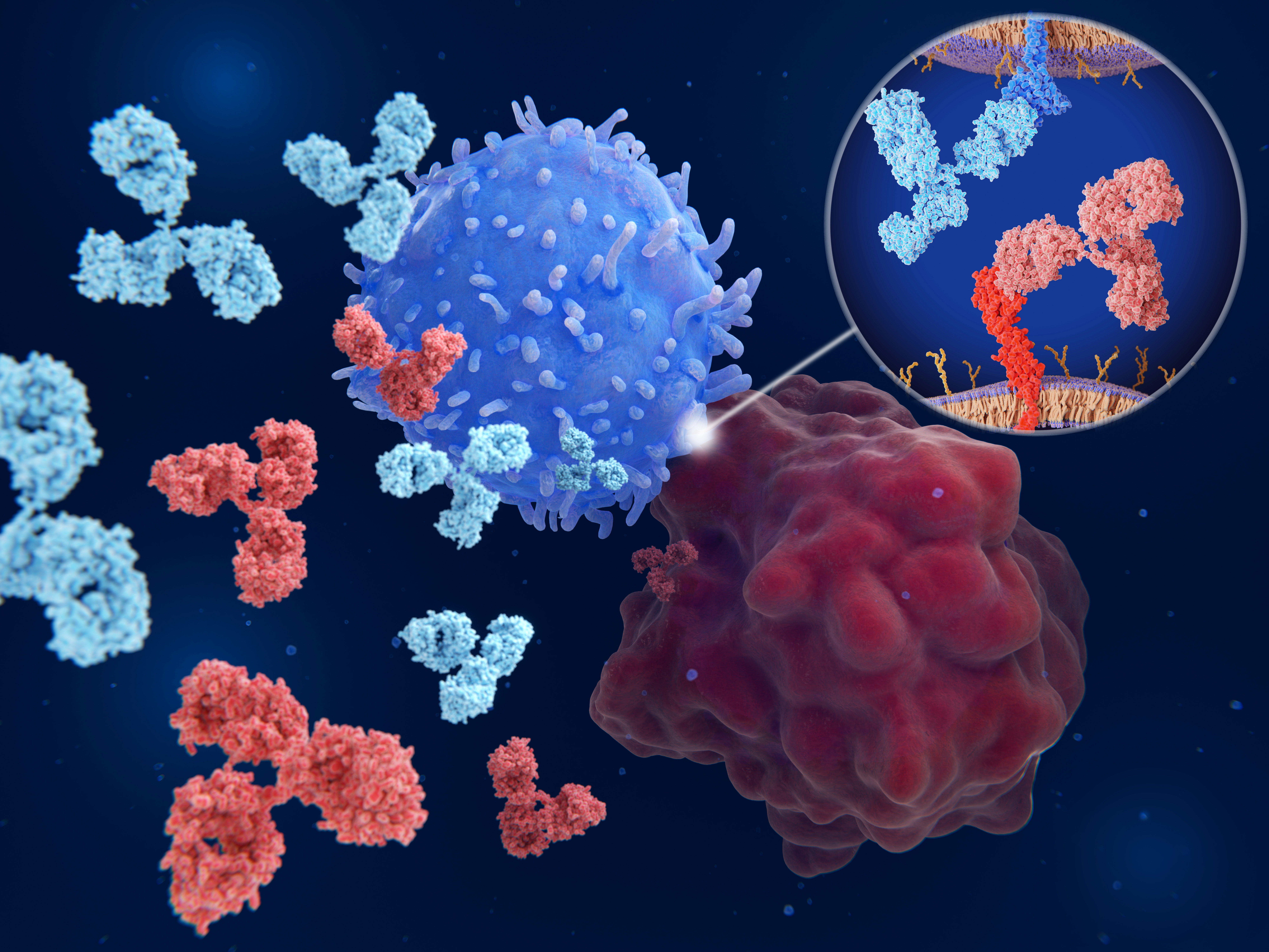 Tumor Microenvironment in Cancer Therapy