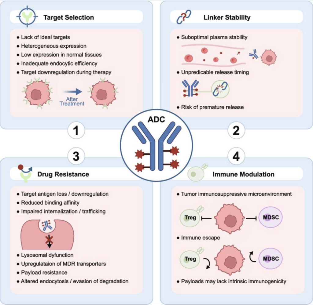 Key Challenges in ADC Development