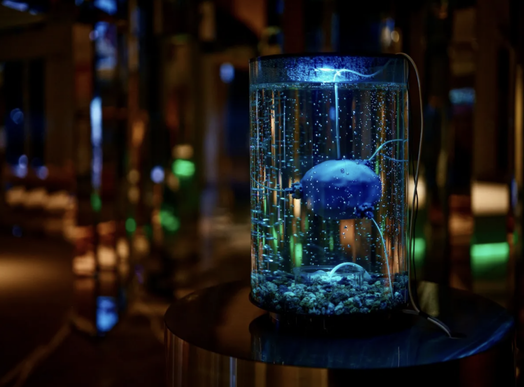 BioArt Transformations Anna Dumitriu and the Cultural Life of Biotechnology - Lambda Biologics BioArt Transformations Anna Dumitriu and the Cultural Life of Biotechnology