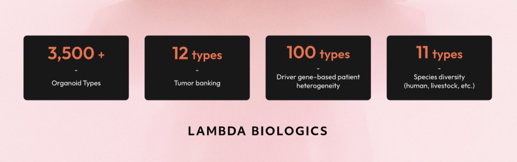 Four black rounded statistic cards on a pink background highlighting Lambda Biologics capabilities: 3,500+ organoid types, 12 tumor- banking types, 100 driver-gene patient heterogeneity types, and 11 species diversity types; center title 'Lambda Biologics' below.