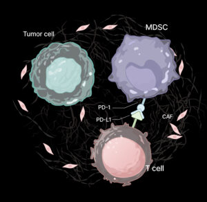 MDSC-targeted Platform