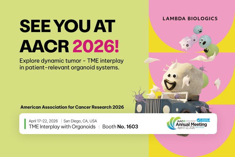 AACR 2026