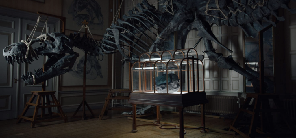 When Dinosaurs Meet Design: The World's First T-Rex Leather Handbag - Lambda Biologics When Dinosaurs Meet Design: The World's First T-Rex Leather Handbag