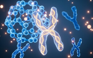 Antibody-Drug Conjugate (ADC) Development - Lambda Biologics Antibody-Drug Conjugate (ADC) Development