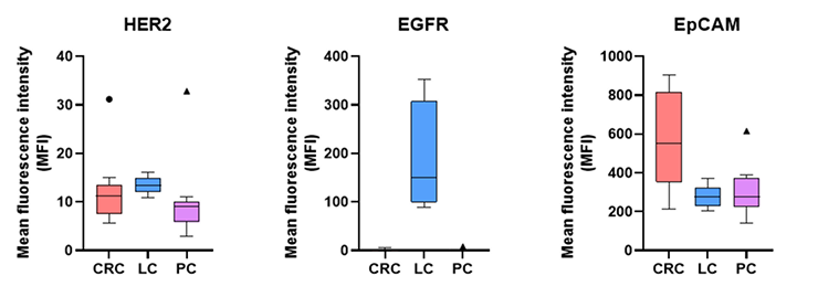 Target Selection Remains Difficult in Heterogeneous Tumors - Lambda Biologics Target Selection Remains Difficult in Heterogeneous Tumors