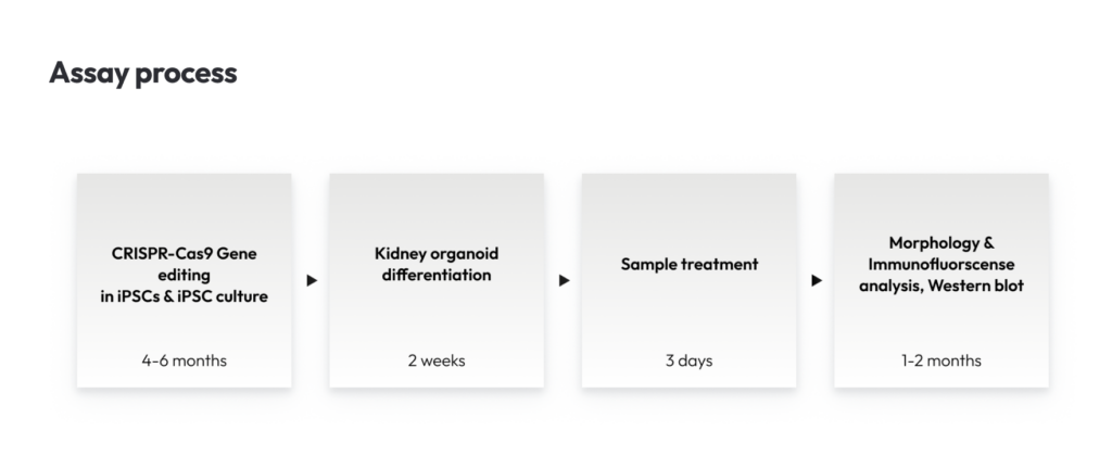Fabry’s disease assay process