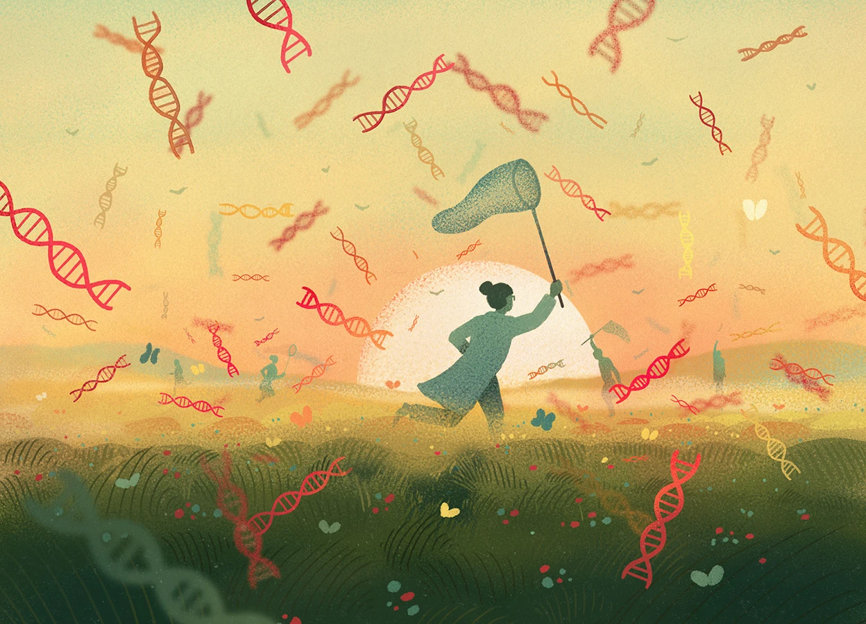 Person in a field at sunset swings a net to catch floating DNA helices in the air.
