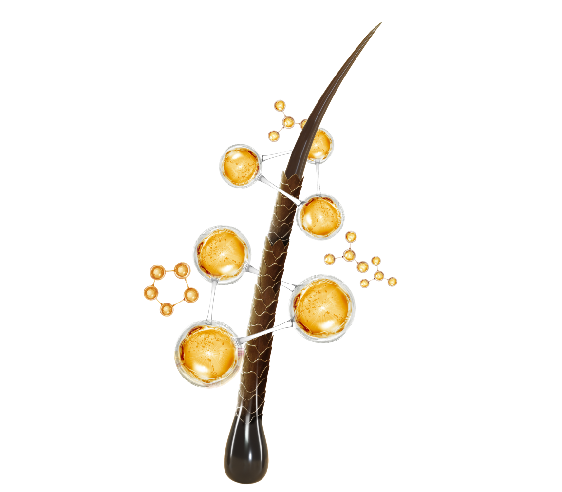 Stylized plant stem with orange molecular spheres connected by white bonds, on a black background.