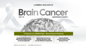 Brain Cancer Month
