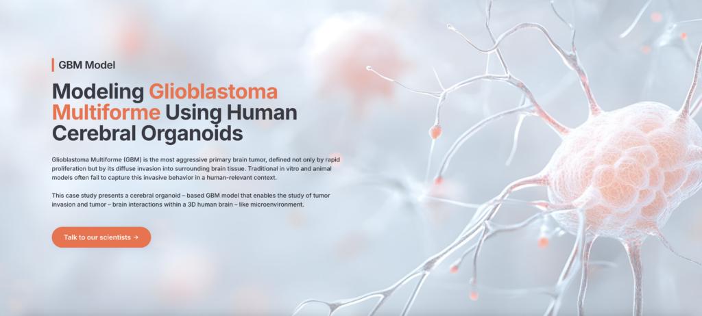 Hero banner with the title 'Modeling Glioblastoma Multiforme Using Human Cerebral Organoids' and a neural-branch artwork; includes a 'Talk to our scientists' button (CTA).