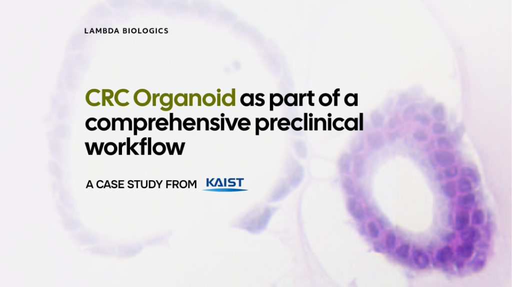 CRC Organoid