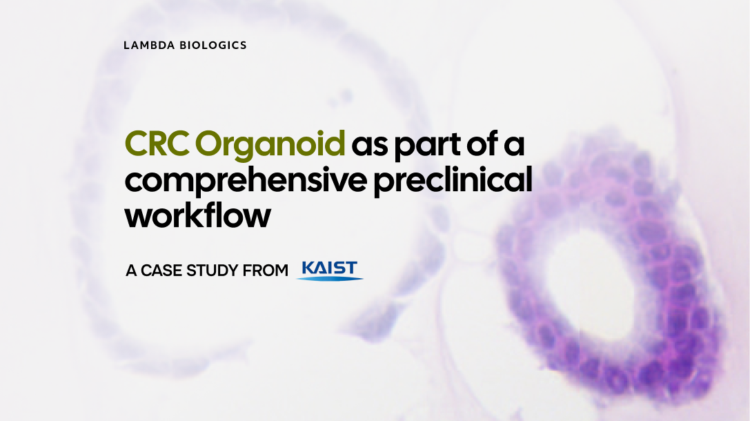 CRC Organoid