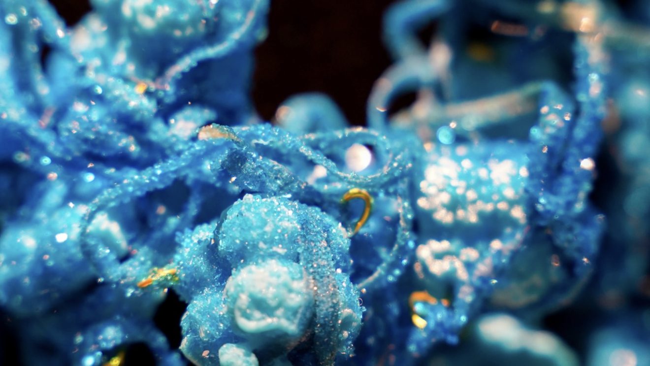 Cellular-Reprogramming-Necklace-by-Anna-Dumitriu-photo-credit-Audrey-Rose-Mizzi-large-2-1320x743 - Lambda Biologics