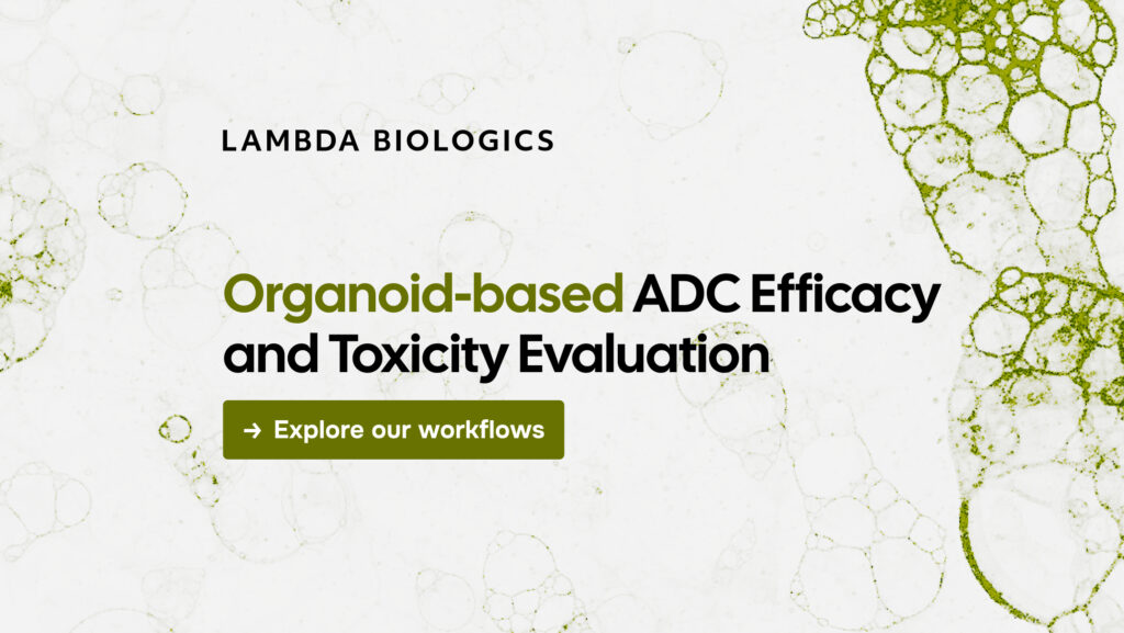 Organoid-based ADC Efficacy and Toxicity Evaluation