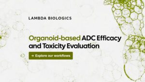 Organoid-based ADC Efficacy and Toxicity Evaluation