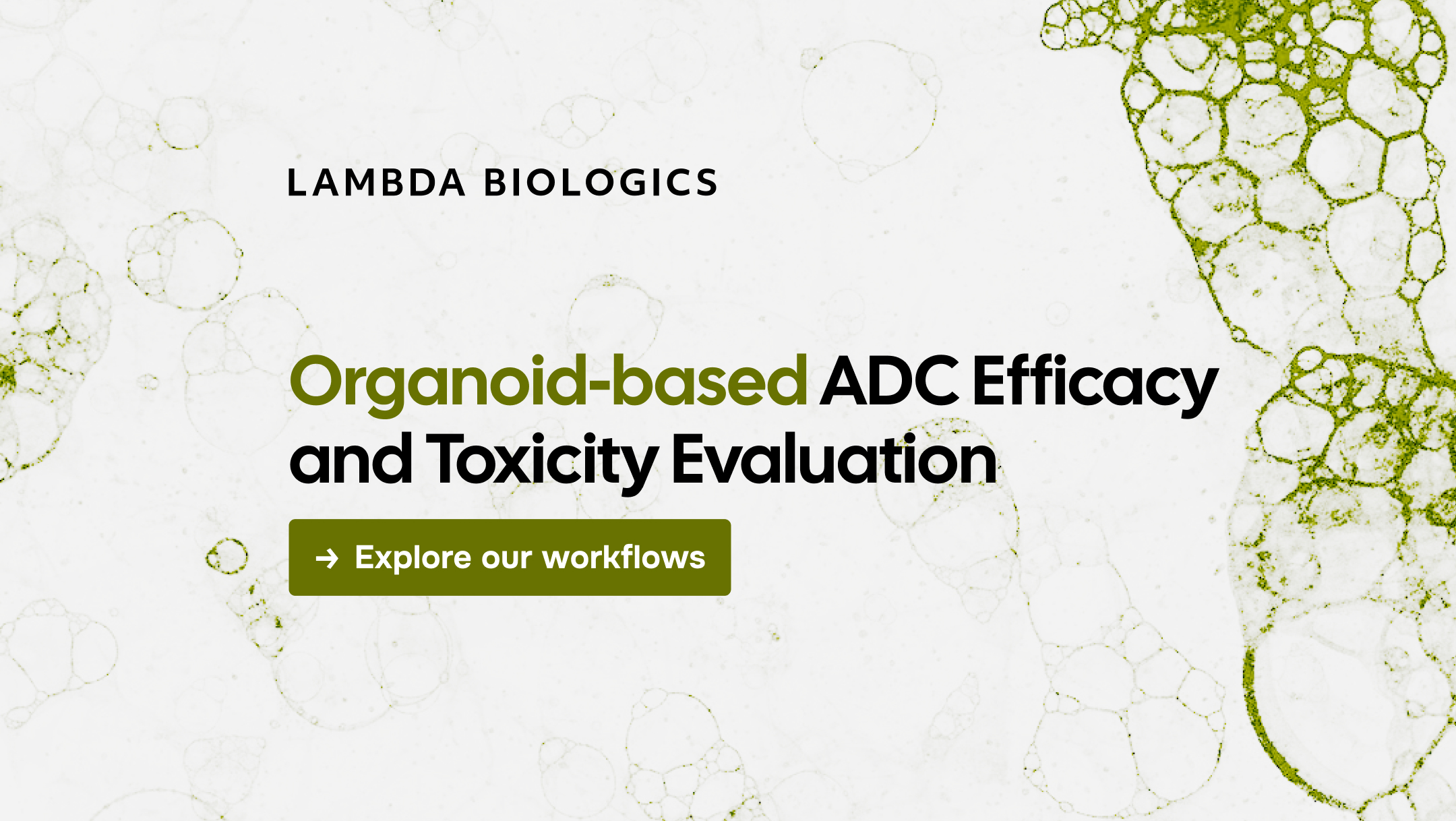 Organoid-based ADC Efficacy and Toxicity Evaluation