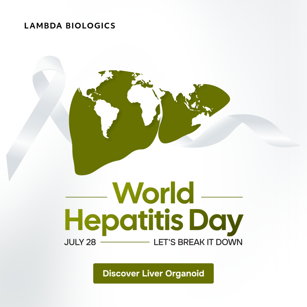 World Hepatitis Day 2026