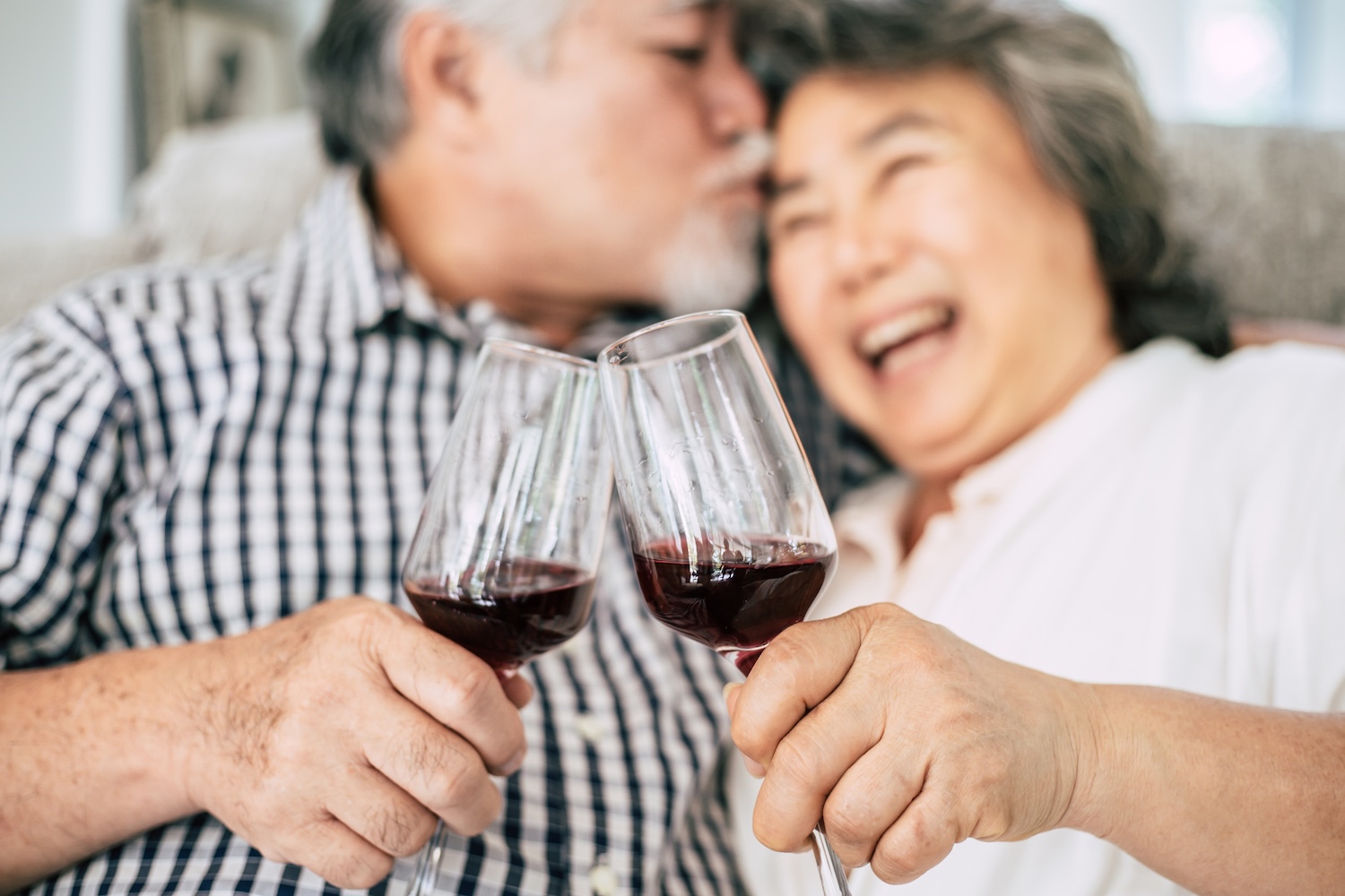 Happy Elders drinking wine and happiness Lambda Biologics Older couple toasting with red wine glasses smiling and leaning in together on a couch