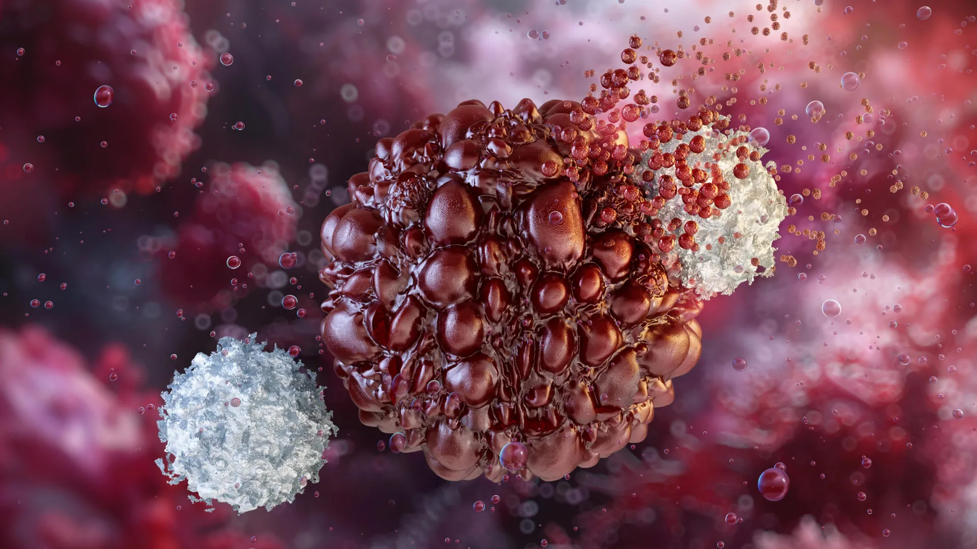 nk-immune-cells-destroying-cancer - Lambda Biologics Magnified view of irregular, bulging cells in red tones with white crystalline structures in a pink-red background (cell biology scene)