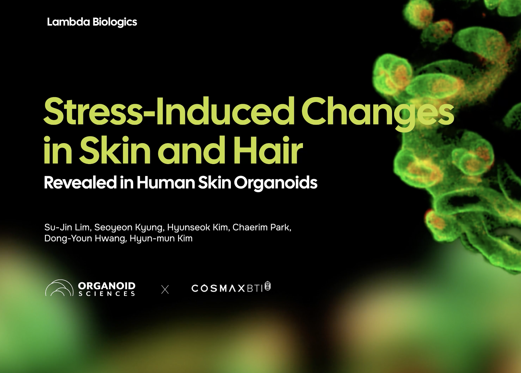 Stress-Induced Changes in Skin and Hair Revealed in Human Skin Organoids